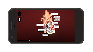 Heart Simulator ảnh chụp màn hình 7