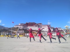 Camera Clone تصوير الشاشة 1