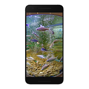 Fish Wallpaper captura de pantalla 2