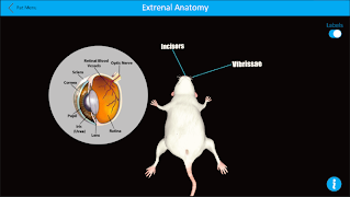 Dissection Lab screenshot 4