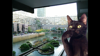5 Schermata Cat Bomb Camera