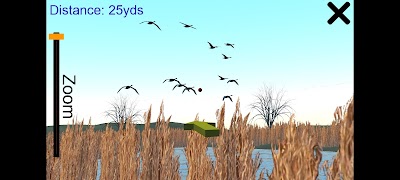 Wingshooter screenshot 1