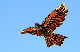 Kites Designs screenshot 6