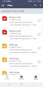 Oracle Primavera Cloud screenshot 4