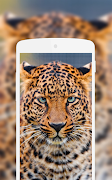 Leopard Wallpaper تصوير الشاشة 4