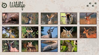 Tau Game Lodge screenshot 4