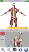 2 Schermata Visual Anatomy 2