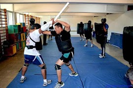 learn Krav maga screenshot 4