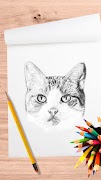 Cara Menggambar Kucing screenshot 4