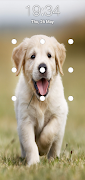 Puppy Dog Pattern Lock Screen screenshot 3