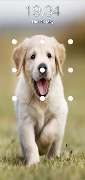 برنامهنما Puppy Dog Pattern Lock Screen عکس از صفحه