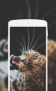 Leopard Wallpaper capture d'écran 6