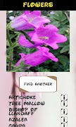 Automatic Identifier Flowers screenshot 4