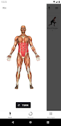 برنامه‌نما Stark Dumbbell عکس از صفحه