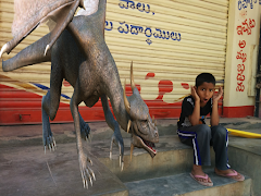 برنامه‌نما Dragon Camera Frames عکس از صفحه