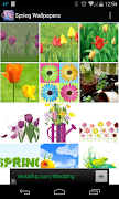 Spring Wallpapers پوسٹر