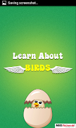 Learn Birds Name poster