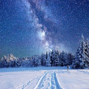 برنامه‌نما Snowy Winter عکس از صفحه