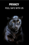 برنامه‌نما Wild Browser: safe web search عکس از صفحه