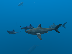 Ocean Dream screenshot 5