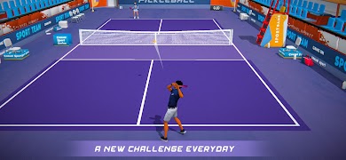 Pickleball 3D poster