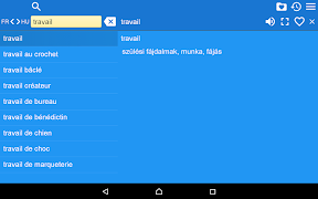 French Hungarian Dictionary screenshot 7