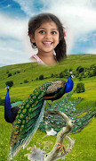 Peacock Photo Frames HD اسکرین شاٹ 4