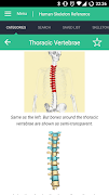 Human Skeleton Reference Guide syot layar 6