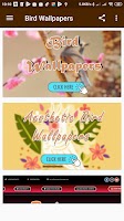 Birds Wallpapers captura de pantalla 1