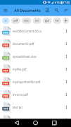 Document Manager Pro Plakat