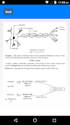 Class 10 Science Notes screenshot 2