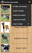 Dog Breeds ảnh chụp màn hình 1