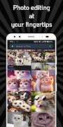 Cat Gallery screenshot 3