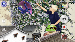 Ninja plakat