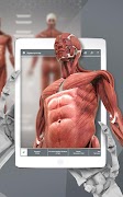 AnatomyAR screenshot 2