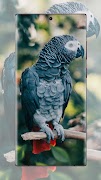 parrot wallpaper screenshot 3