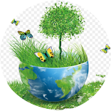 Famous Place In the World