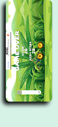 Jungle Boy Adventure 截图 7