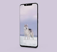 Wolf Wallpapers 스크린샷 4