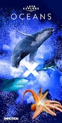 Let's Explore: Oceans Cartaz