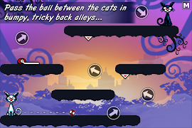 Cat Physics โปสเตอร์