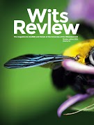 5 Schermata Wits Review