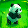 Cute Panda HD Wallpapers