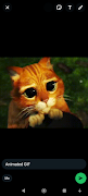 Gif Maker スクリーンショット 4