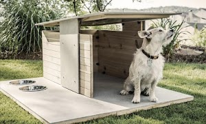 Best Dog House Design screenshot 5
