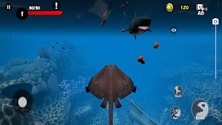 Fish Grow and Evolution تصوير الشاشة 5