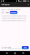 TCP/UDP TEST TOOL تصوير الشاشة 4
