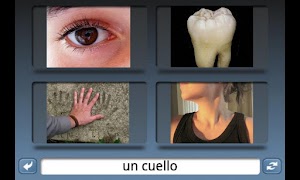 برنامه‌نما NounStar Language Study عکس از صفحه