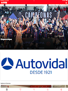 FFIB imagem de tela 4