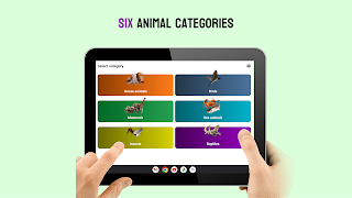 Learn Animals: Images & Sounds Screenshot 5